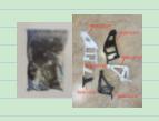 9608111114+9608111214+9608112714+9608112614+9608110914+9608111014 SUNVISOR BRACKE